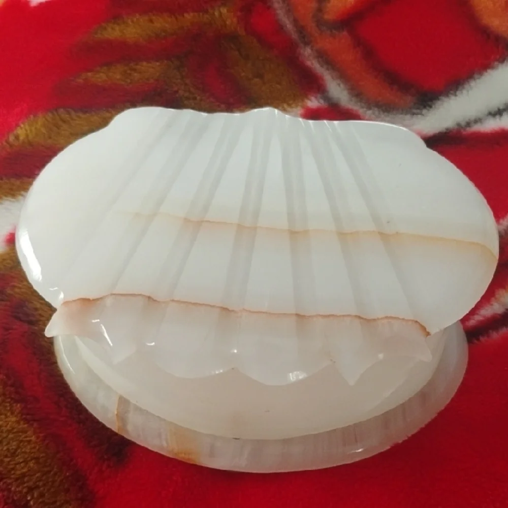 White Shell Design Bath Storage Box - Picture 2 of 9